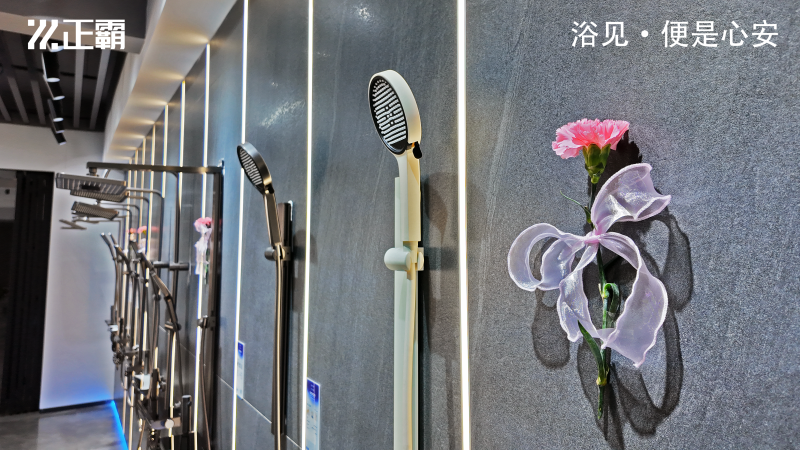 DJI_20250308110432_0102_D